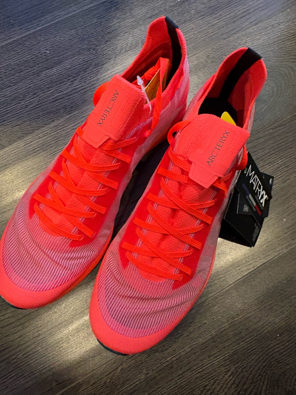 Arc'teryx Norvan SL GTX Trail Running Shoe